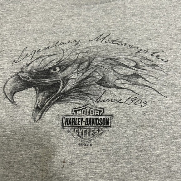 Harley Davidson Shirt Mens Extra Large Gray Eagle Alligator Florida Crew Neck - Picture 4 of 15